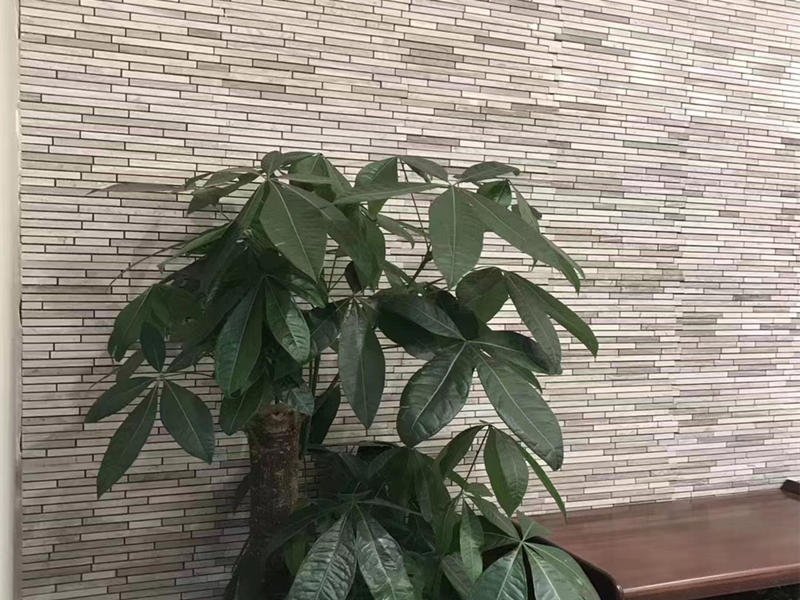 Natural Marble mosaic for wall decoration grey marble mosaic tile